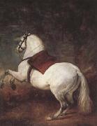 Diego Velazquez A White Horse (df01) painting